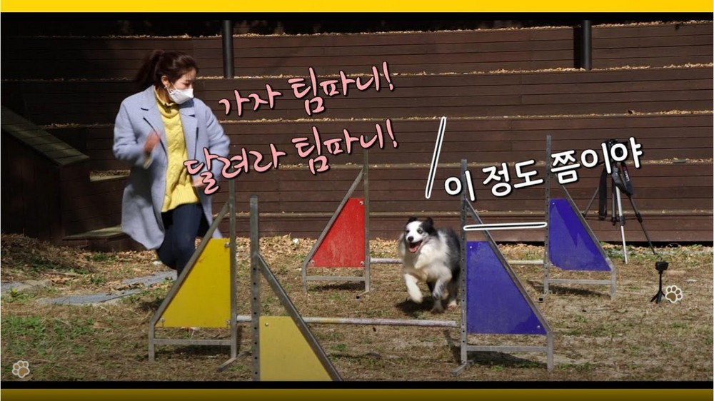 [몽냥꽁냥다이어리] ep29_2 또 달려라 팀파니!/ GO GO TIMPANY AGAIN!