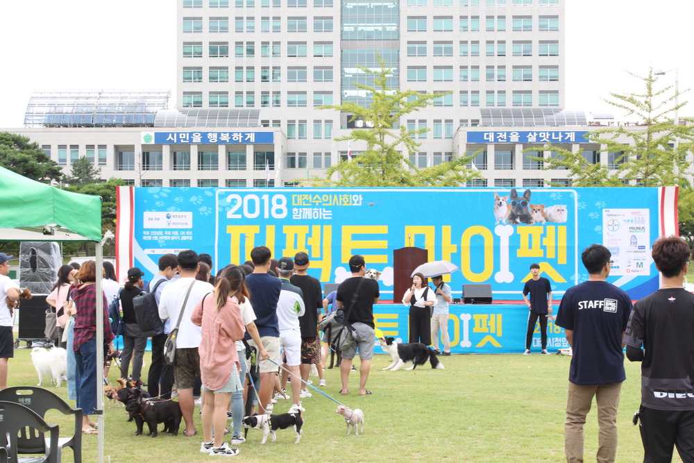 2018.08.26 퍼펙트 마이펫 행사 무료 애견위생미용 부스 참가