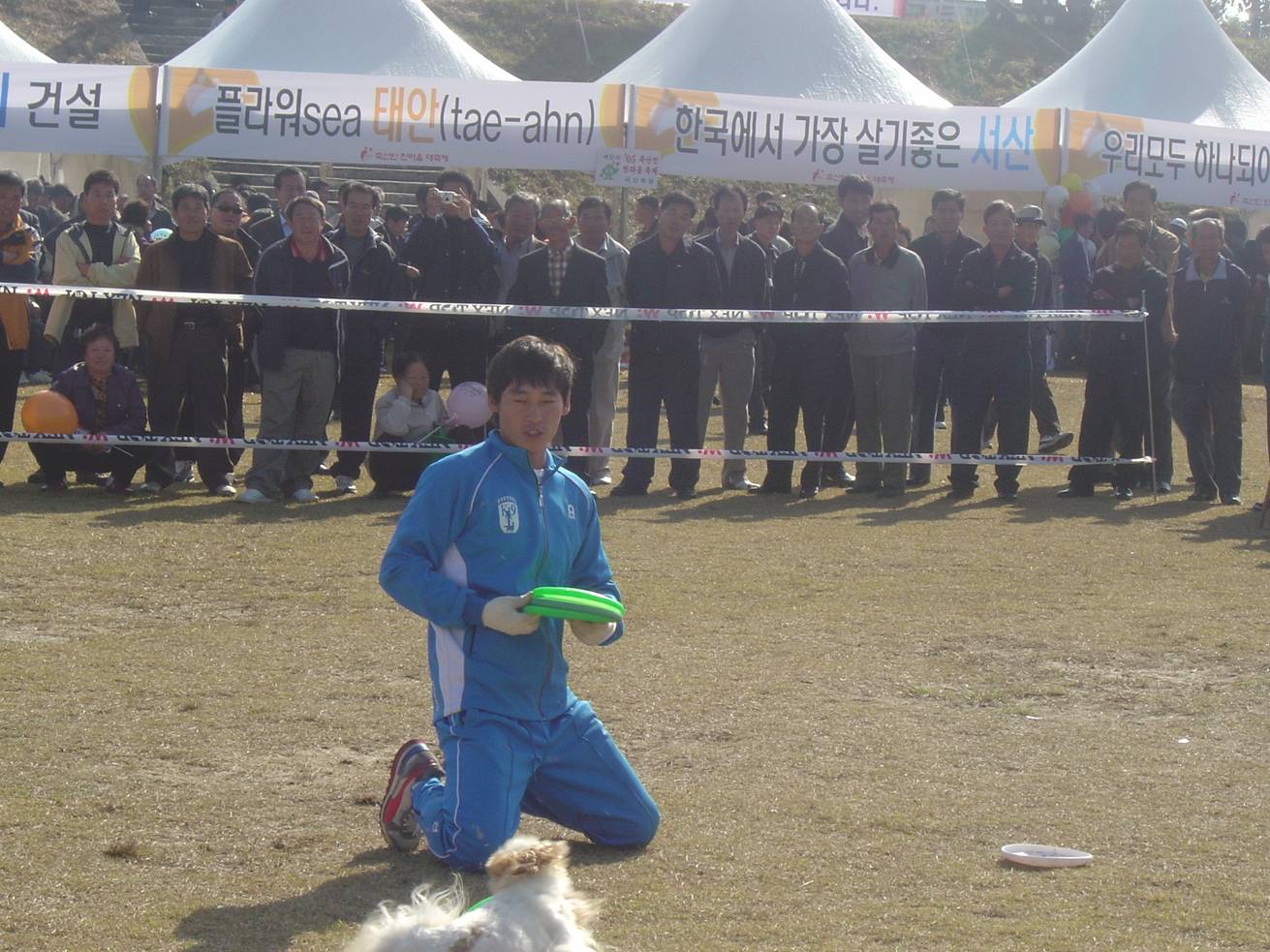 충남인한마음대회 중 애견전람회 - 훈련시범모습