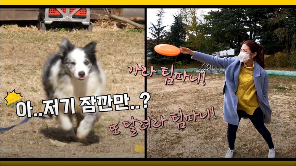 [몽냥꽁냥다이어리] ep29_2 또 달려라 팀파니!/ GO GO TIMPANY AGAIN!