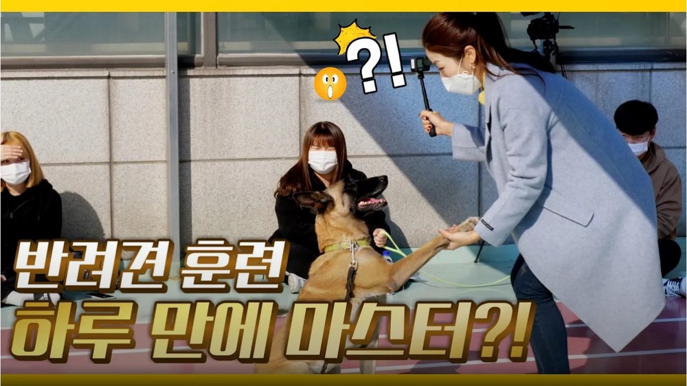 [몽냥꽁냥다이어리] ep29_1 달려라 팀파니!/ GO GO TIMPANY!