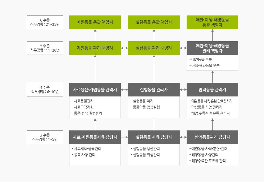 3수준 직무경험 : 1~5년 - 사료/자원동물사육 담당자 (사료제조-물류관리, 종축 사양 관리), 실험동물 사육 담당자 (실험동물 생산관리, 실험동물 위생관리), 반려동물관리 담당자 (애완동물 사육/훈련/간호, 해양동물 사양관리, 해양수족관 포유류 관리)
								4수준 직무경험 : 6~10년 - 사료/자원동물사육 담당자 (사료품질관리, 사료고객지원, 종축 번식- 질병관리), 실험동물 사육 담당자 (실험동물 처치, 동물약품 임상실험), 반려동물관리 담당자 (애완동물 사육/훈련/간호 관리자, 해양동물 사양관리자, 해양수족관 포유류 관리자)
								5수준 직무경험 : 11~20년 - 자원동물 관리 책임자, 실험동물 관리 책임자, 애완-야생-해양동물 관리책임자 (애완동물부분, 야생-해양동물 부분)
								6수준 직무경험 : 21~25년 - 자원동물 총괄 책임자, 실험동물 총괄 책임자, 애완-야생-해양동물 총괄 책임자