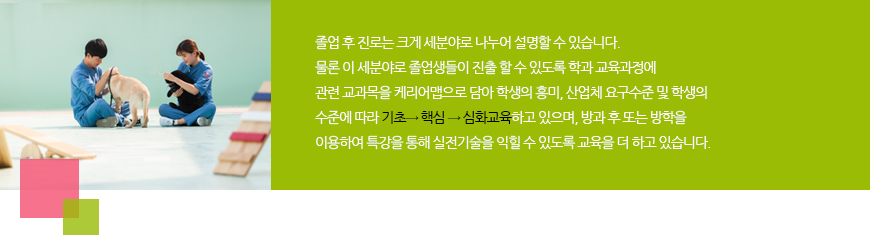 졸업 후 진로는 크게 세분야로 나누어 설명할 수 있습니다. 물론 이 세분야로 졸업생들이 진출 할 수 있도록 학과교육과정에 관련 교과목을 케리어맵으로 담아 학생의 흥미, 산업체 요구 수준 및 학생의 수준에 따라 기초-핵심-심화교육 하고 있으며, 방과 후 또는 방학을 이용하여 특강을 통해 실전기술을 익힐 수 있도록 교육을 더 하고 있습니다.